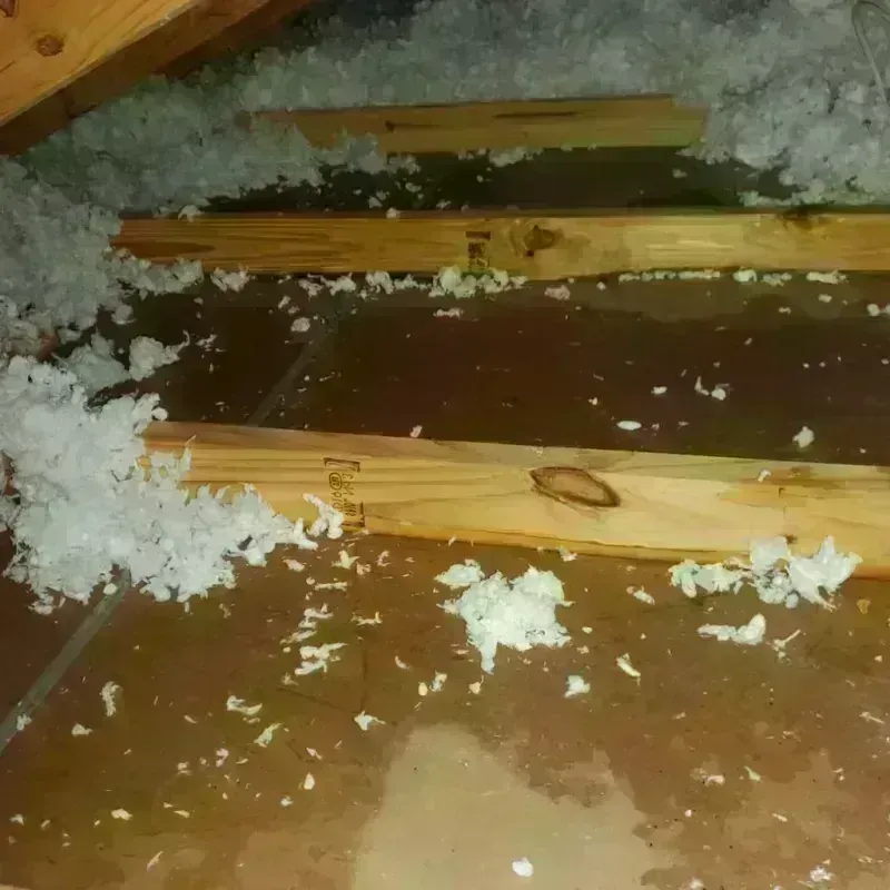 Attic Water Damage in Wheeler County, TX