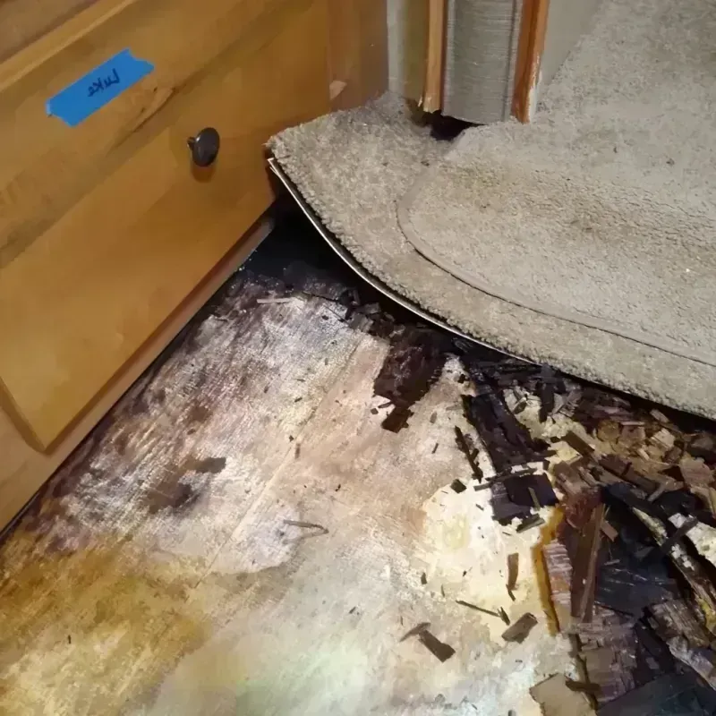 Wood Floor Water Damage in Wheeler County, TX